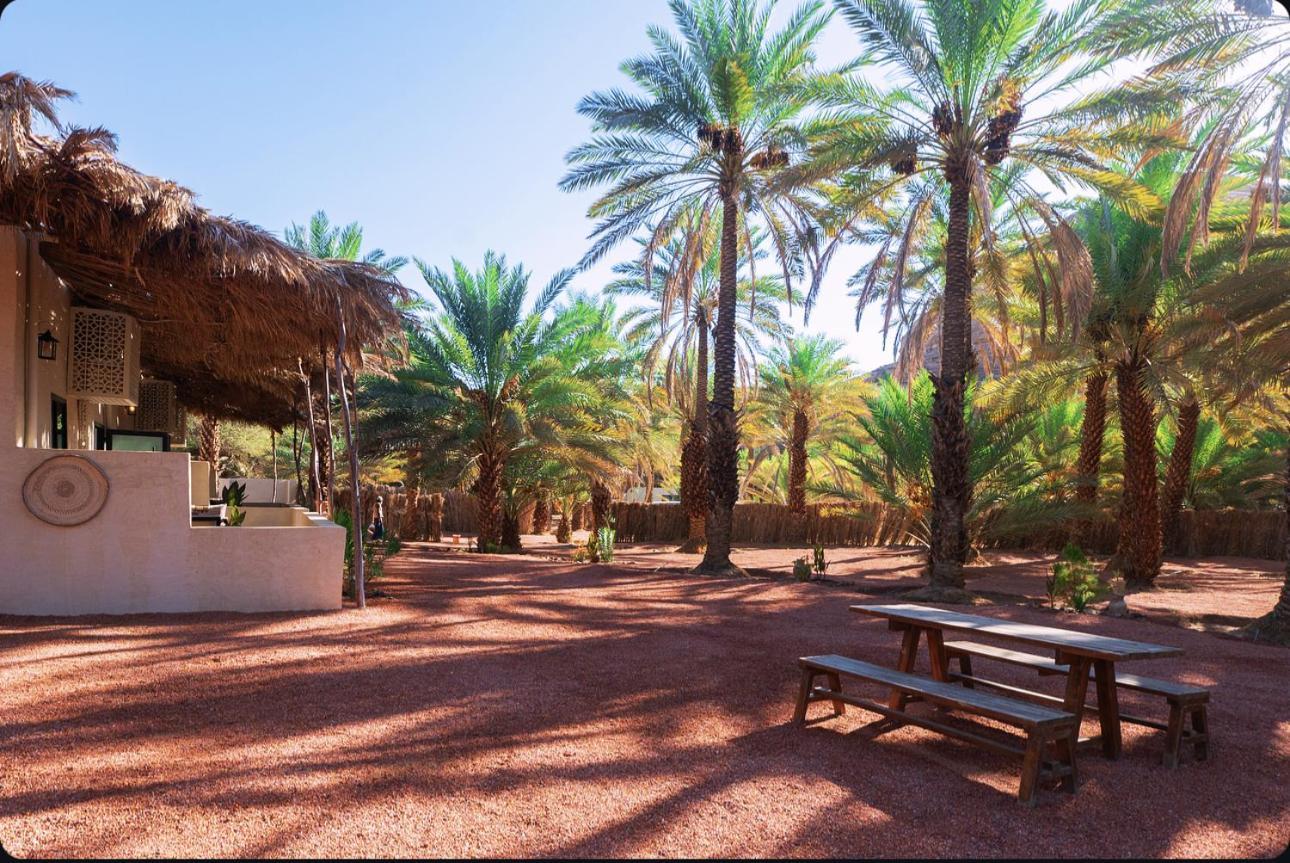 فندق Under Las Palms Alula مدائن صالح المظهر الخارجي الصورة